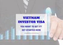 make Vietnam Investor DT for TRC card 2 year visa